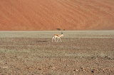 Namibia (48)